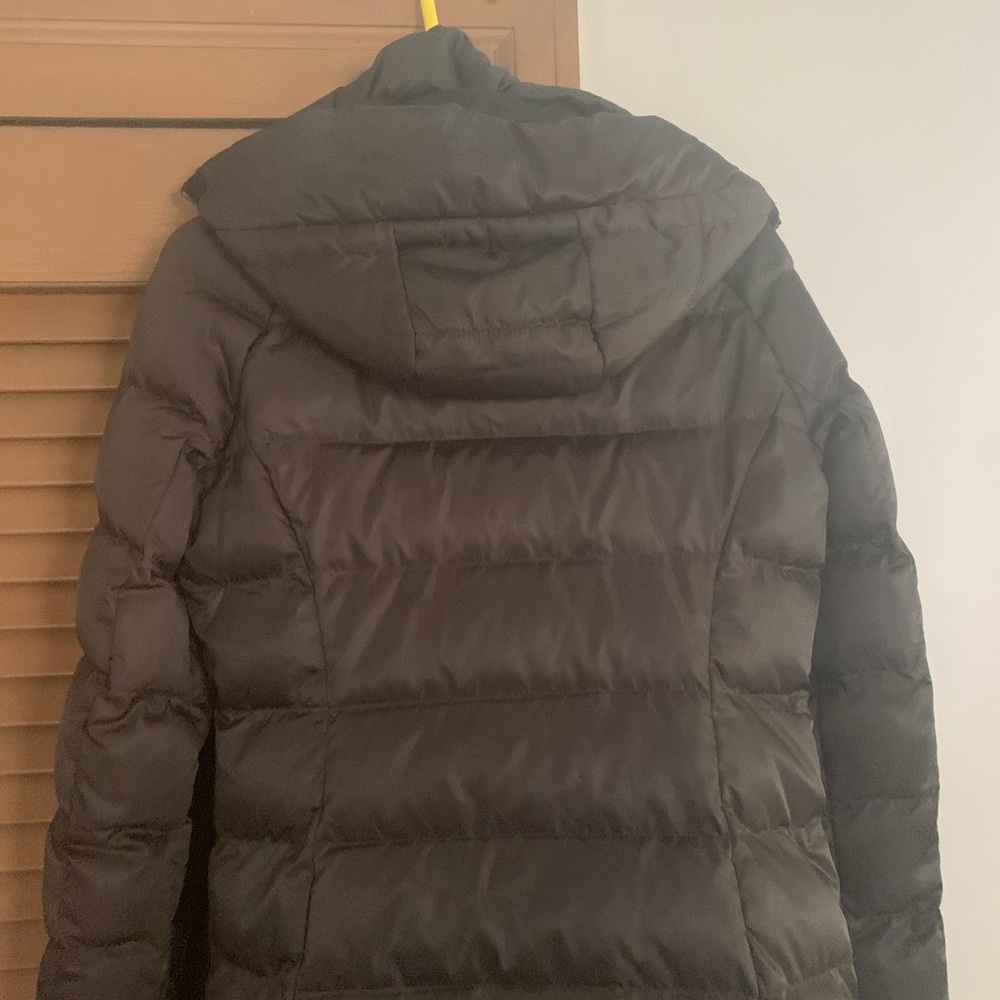 Brown Coat
